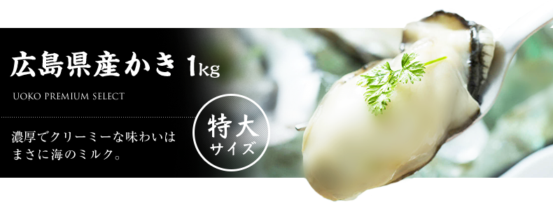 広島県産特大かき 1kg 濃厚でクリーミーな味わいはまさに海のミルク。