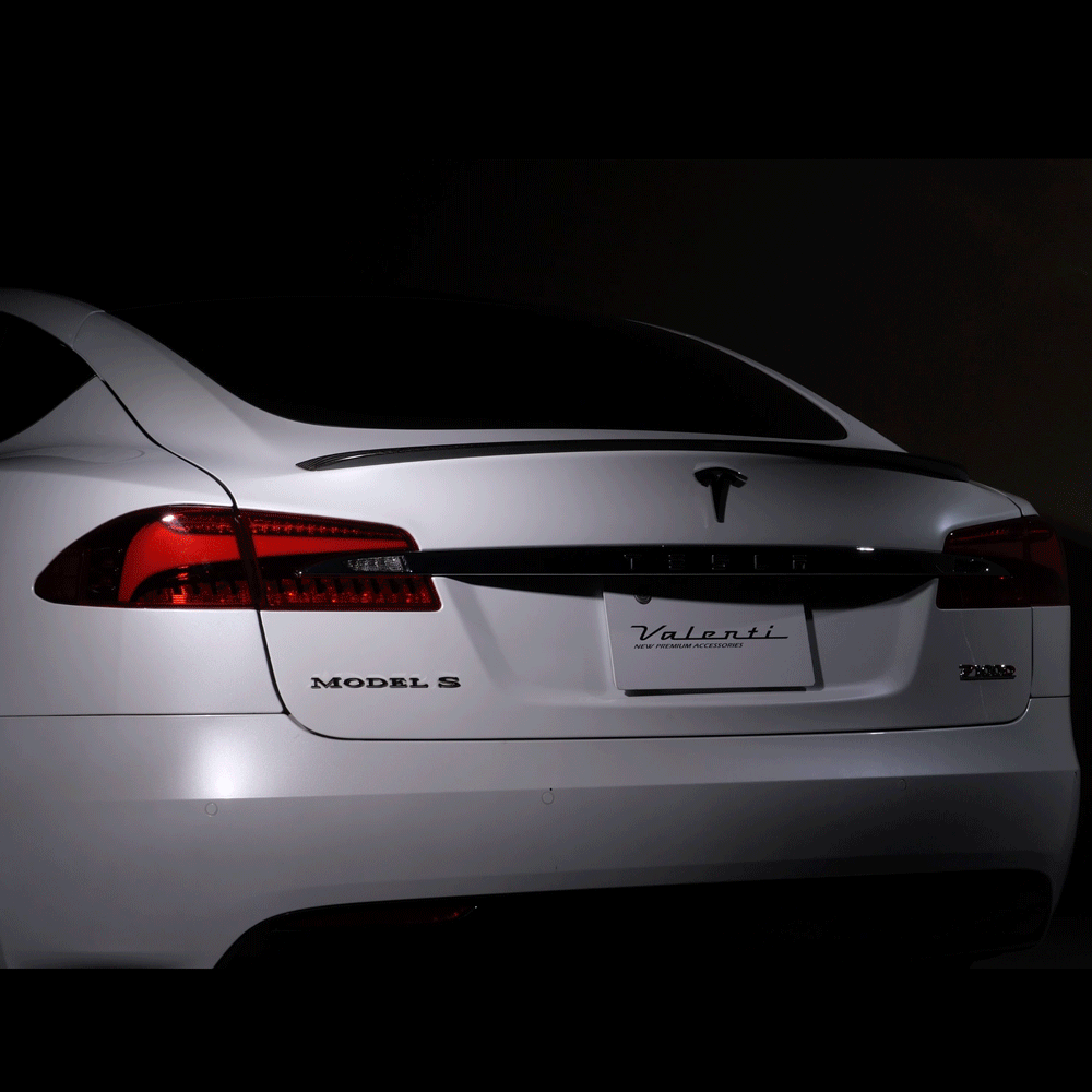 Tesla model3 テスラ モデル3 シーケンシャルスモークテールランプシーケンシャル