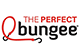 THE PERFECT BUNGEE / p[tFNgoW[