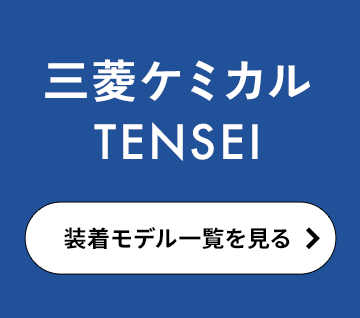 ɩߥ TENSEI
