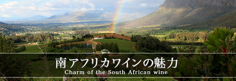 南アフリカワインの魅力