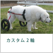 K9カート　犬用車椅子　カスタム