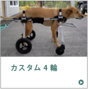 K9カート　犬用車椅子　カスタム