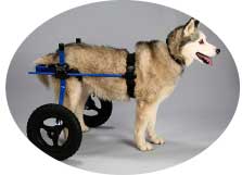 犬用車椅子　L