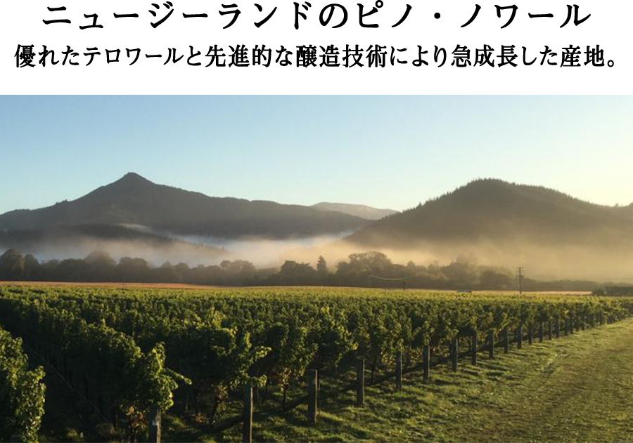 ニュージーランドのピノ・ノワール　優れたテロワールと先進的な醸造技術により急成長した産地。
