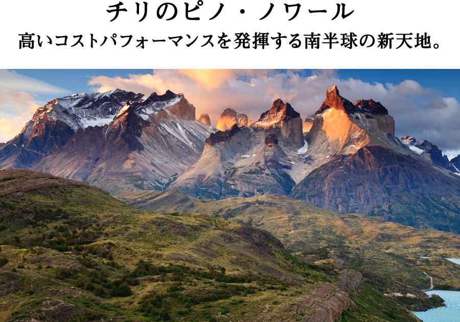 チリのピノ・ノワール　高いコストパフォーマンスを発揮する南半球の新天地。
