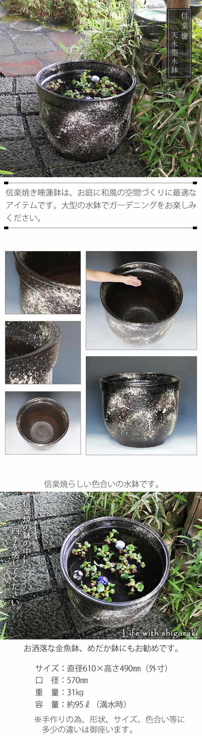 楽天市場[日限定クーポンスイレン鉢 大型 陶器水鉢