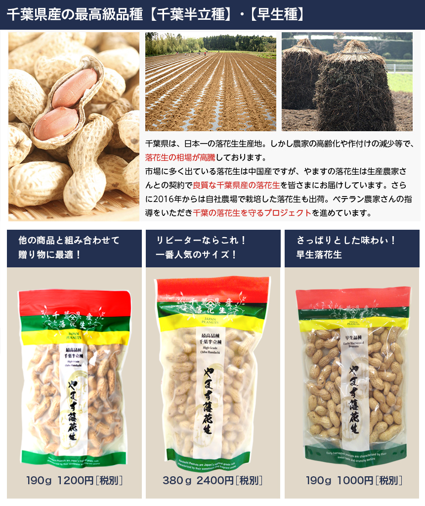千葉県八街産の最高品種 半立種落花生