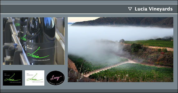 低価国産 カリフォルニア > 「Ｌ」 > Lucia Vineyards　：カリフォルニアワインのYANAGIYA 通信販売